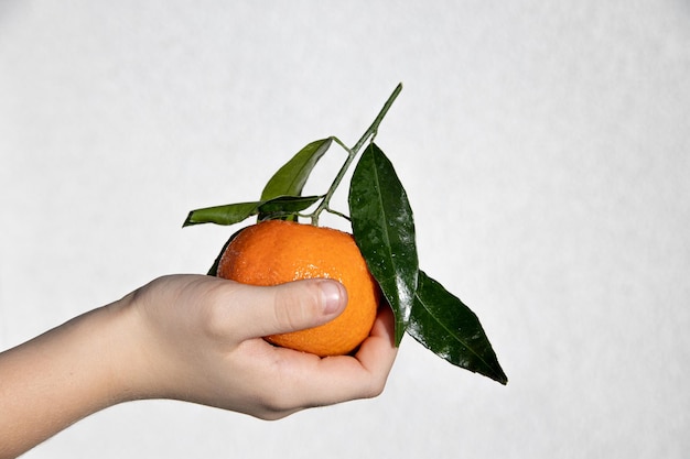 orange tangerinewith green leaves on the palm of the boy on a light background