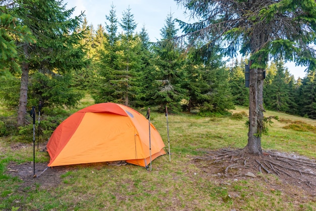 Orange tent camp in green forest