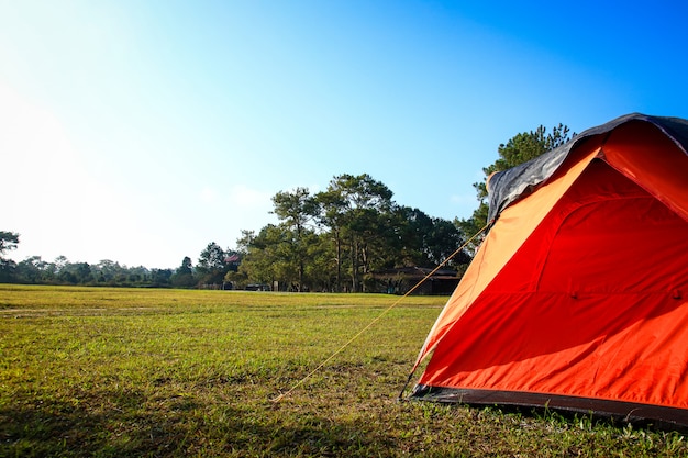 Оранжевый палатка на зеленой лужайке.