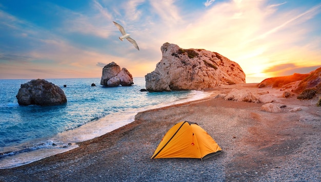 写真 空にキプロス島のカモメのアフロディーテのビーチにオレンジ色の観光テント