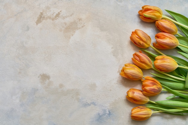 Orange tulips on colorful watercolor background. Copy space, top view. Holiday background