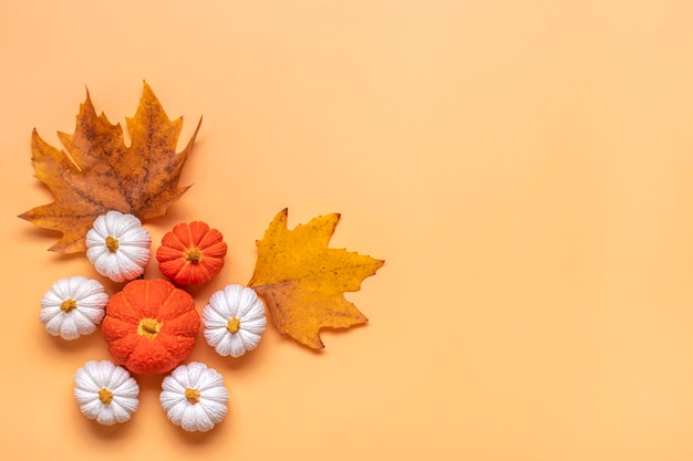 Orange white pumpkin and maple leaves isolated on beige background Top view Flat lay