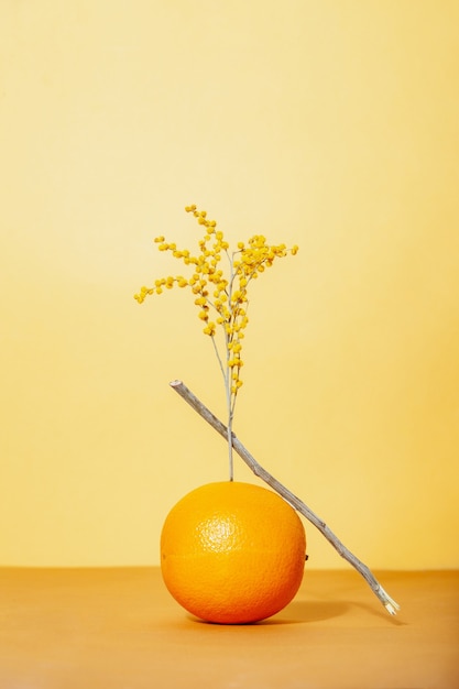 Orange with blooming plant against yellow background