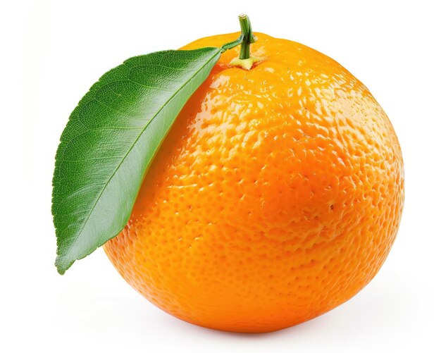 Orange with leaf one citrous fruit isolated cutout with green leaf