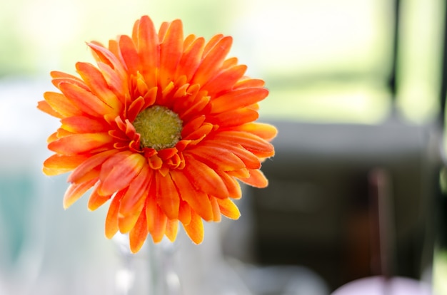 生地から作られたオレンジ色のジニアの花