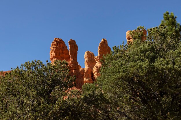 Orangered pinnacles spires columns and hoodoos in NP Red Canyon in Utah