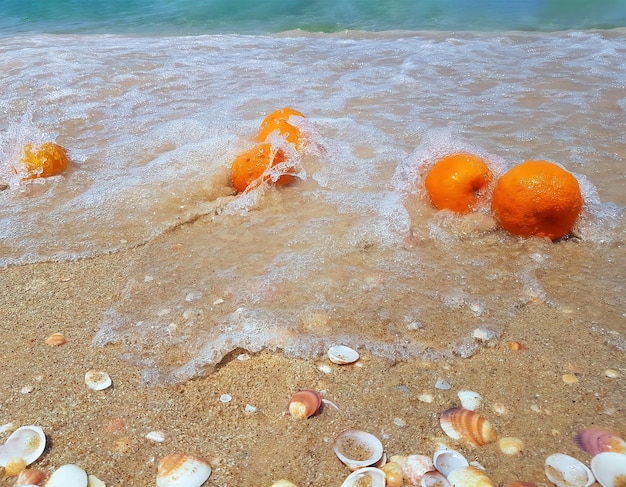 Oranges are thrown on the beach sand by a sea wave