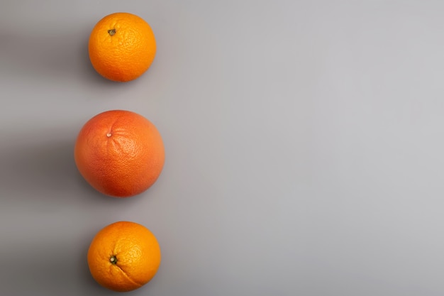 Oranges and grapefruit in a row on a gray background