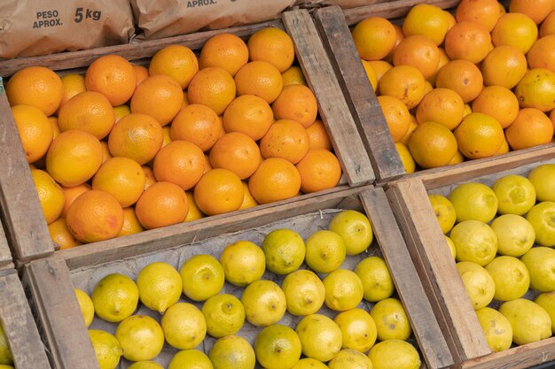 Oranges and lemons in crates for sale at a greengrocer