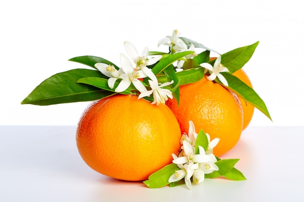 Oranges with orange blossom flowers on white