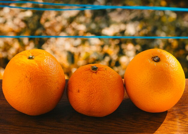 Oranges