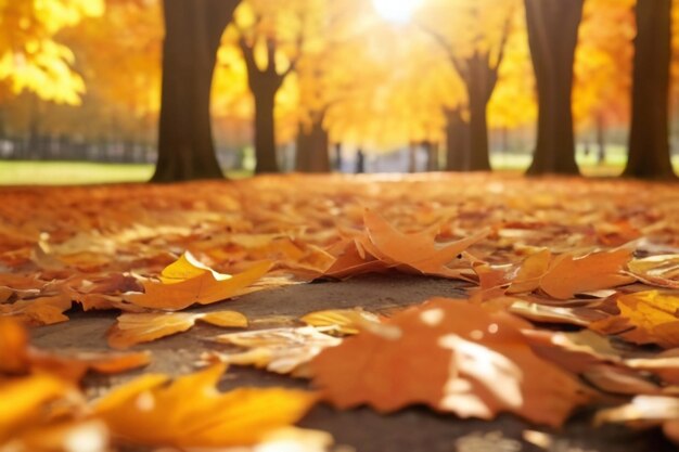 Oranje bladeren vallen in het park zonnige herfst natuurlijke achtergrond