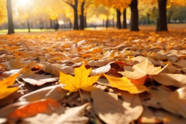 Oranje bladeren vallen in het park zonnige herfst natuurlijke achtergrond