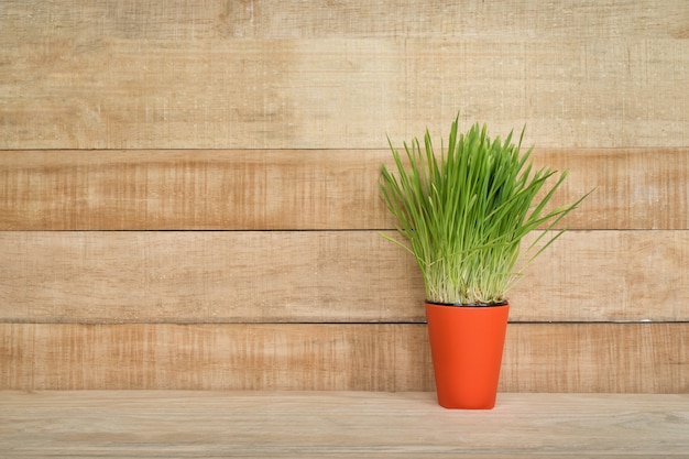 Oranje bloempot met greens op de lijst