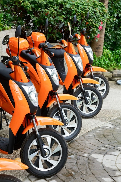 Oranje bromfietsen te koop of te huur geparkeerd in een rij op de parkeerplaats met een groen op de achtergrond