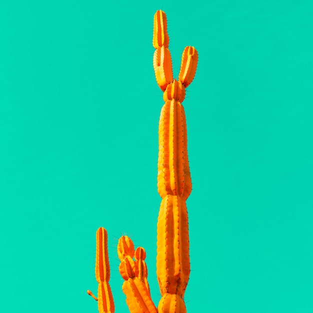 Oranje cactus op blauw. Minimale kunst