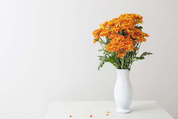Oranje chrysanten in witte vaas op witte achtergrond