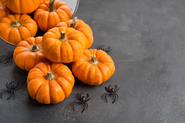 Oranje decoratieve pompoenen met reflectie in ronde spiegel. herfst en halloween stijlvol interieur.