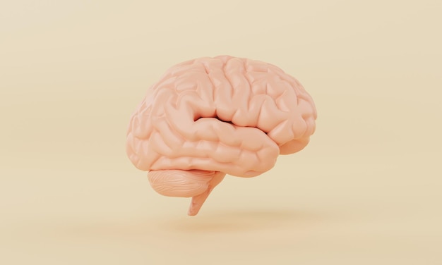 Foto oranje eenvoudige geest hersenmodel op gele achtergrond medische wetenschap gezondheidszorg