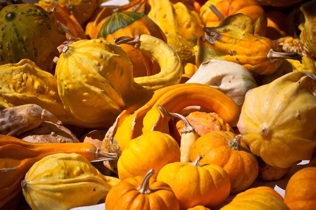 Oranje en gele pompoenen in een markt