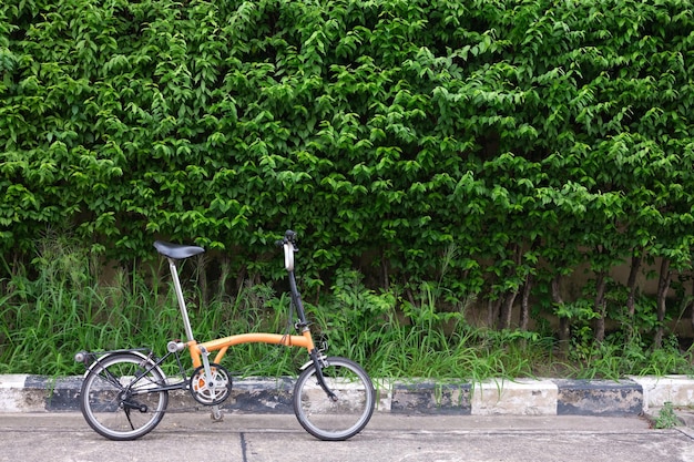 Oranje fietsenstalling voor boommuur