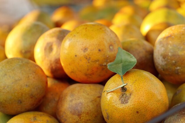 oranje fruit bij straatvoedsel