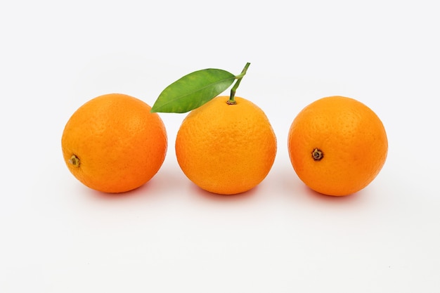 Oranje fruit met bladeren op wit wordt geïsoleerd