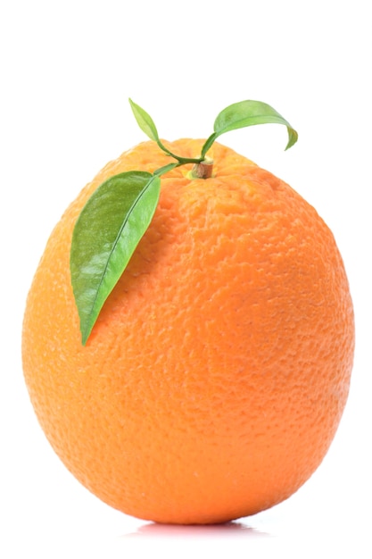 Oranje fruit