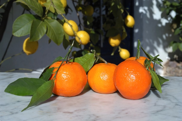 Oranje fruit