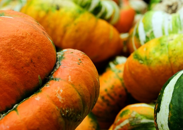 Oranje groene en gele pompoenen