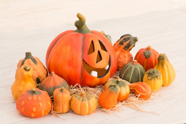 Oranje Halloween-pompoen en vele kleine pompoenen