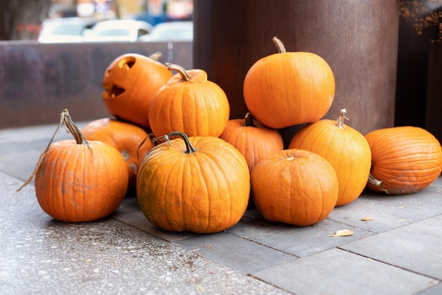 Foto oranje halloween-pompoenen op vloer in zonnige dag