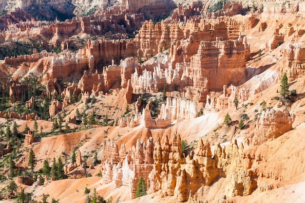 Foto oranje kleuren in dit iconische uitzicht op bryce canyon national park, vs