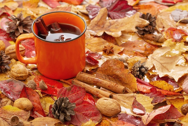 Oranje kopje koffie met specerijen op de achtergrond van herfstbladeren