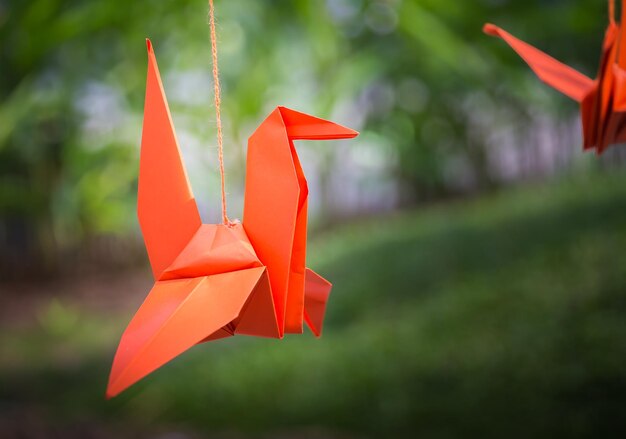 Oranje papieren vogel wordt opgehangen aan een touw