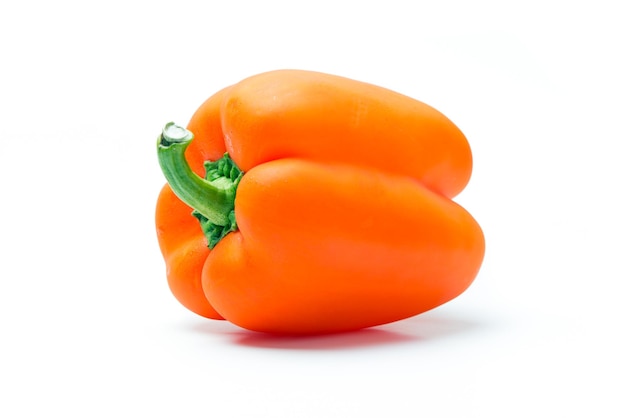 Oranje peperbel of paprika