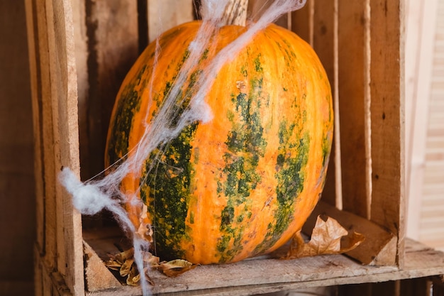 Oranje pompoenen met herfstbladeren met kunstspinneweb