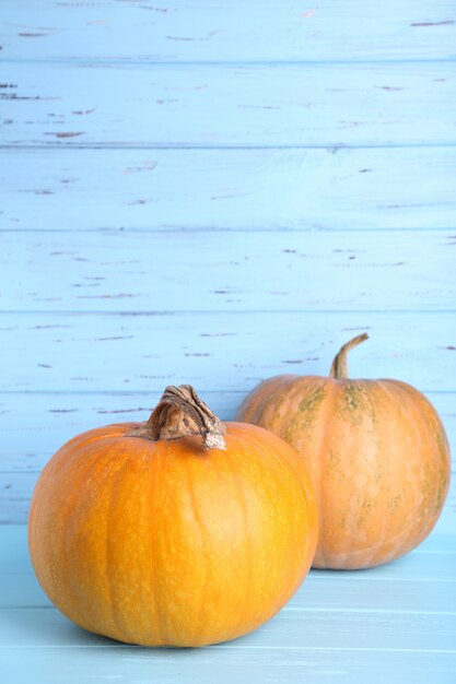 Oranje pompoenen op een blauwe achtergrond. Herfst concept