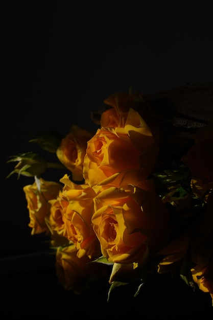 Foto oranje rozenknoppen in het zonlicht