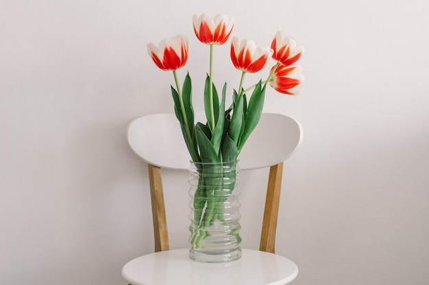 Oranje tulpen op een witte stoel in de woonkamer. Lente en feestdagen.