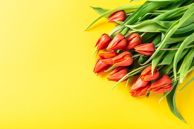 Oranje tulpen over geel oppervlak, Pasen. Verjaardag, moederdag wenskaart concept met kopie ruimte. Bovenaanzicht, plat gelegd