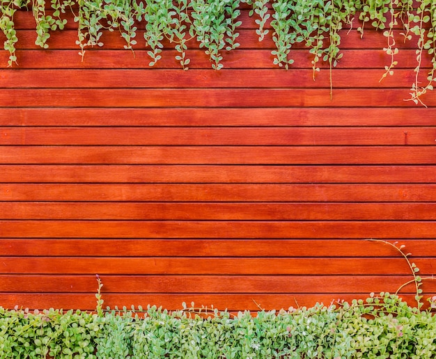 Oranje woodden muur met gebladerte