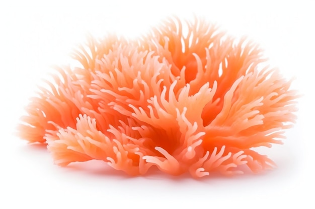 Oranje zacht koraal geïsoleerd op witte achtergrond Generatieve AI