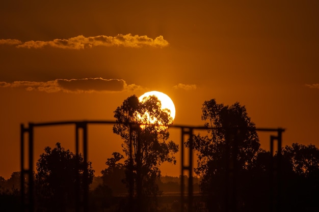 Oranje zonsopgang met zon achter bomen