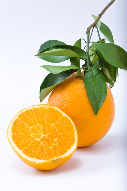 oranje
