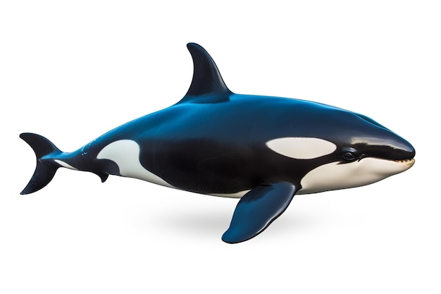 Orca Fish Geïsoleerd op witte achtergrond Generatieve AI
