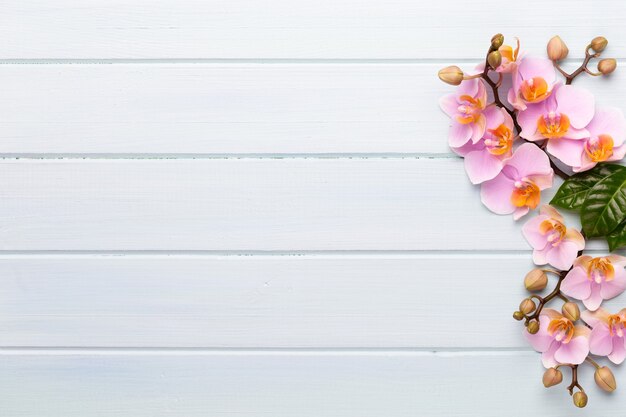 Orchid beauty flowers on vintage table