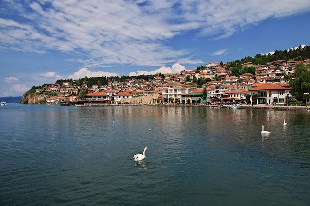 Orchid city in Macedonia on the lake