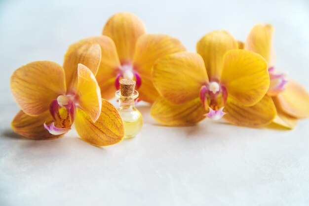 Orchid essential oil in a small bottle. Selective focus.