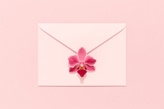 Orchid flower on pink envelope. Congratulation card, Womens Day, Mothers Day, Valentines, birthday.